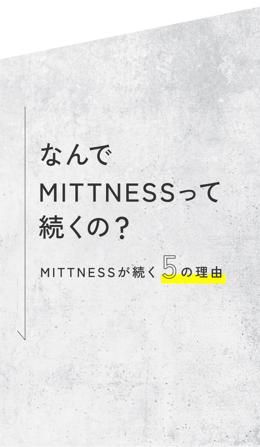 MITTNESSが続く5つの理由